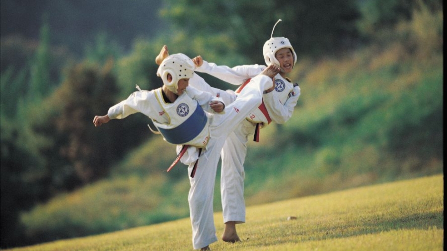kick-taekwondo-taekkyeon-martial-arts-1955719 (1)small